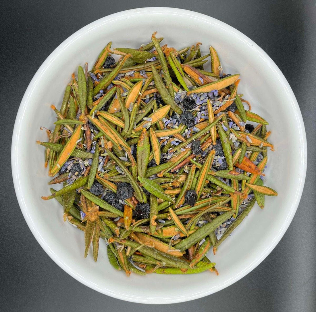 Les vertus du Thé du Labrador : un trésor boréal aux racines autochtones