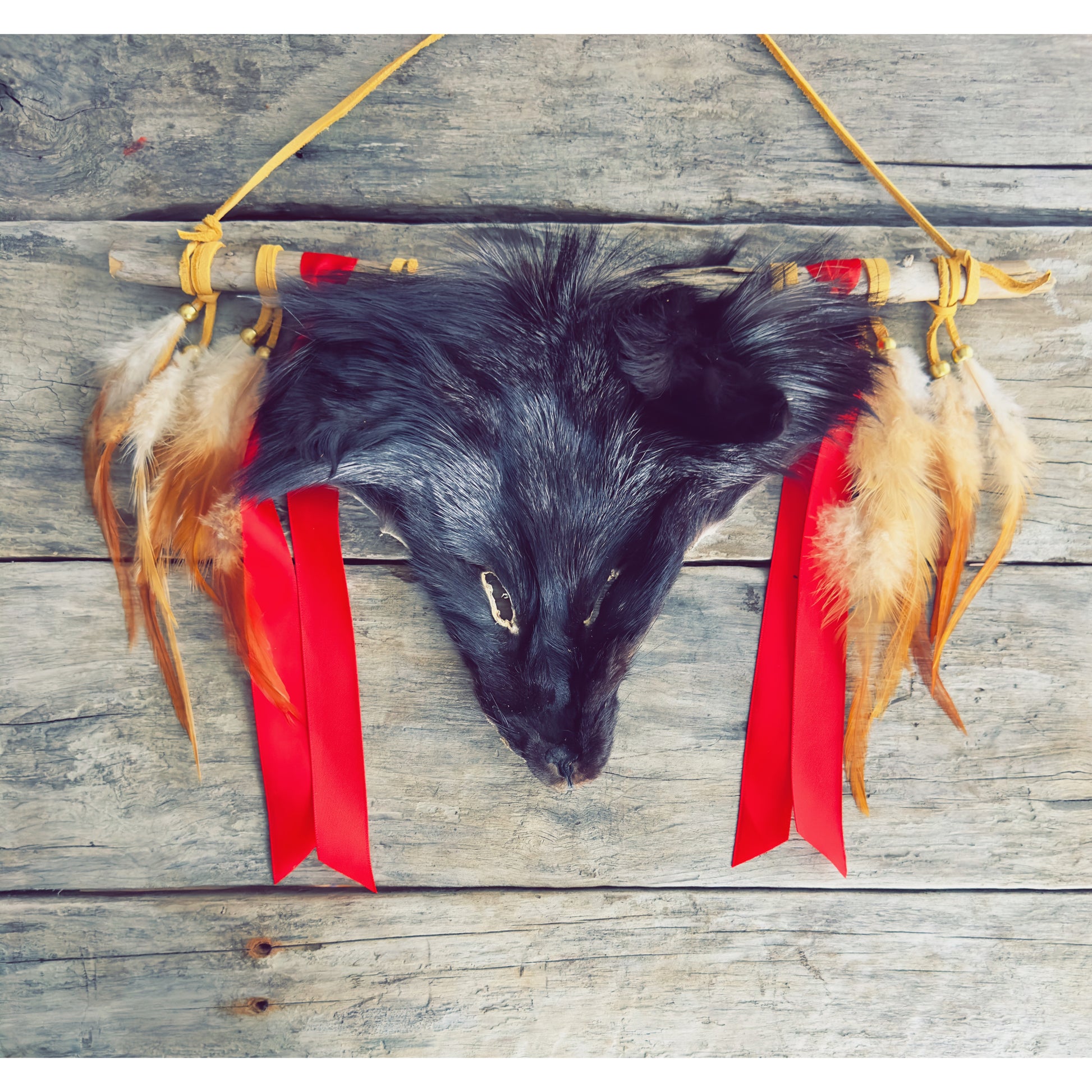 Art mural autochtone avec tête de renard réelle et plumes, fabrication authentique.