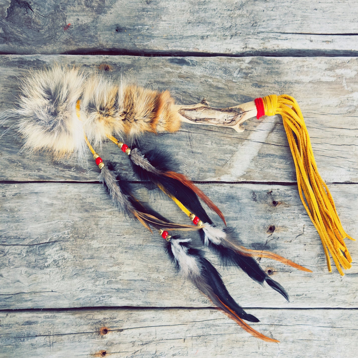 Indigenous talking sticks – coyote model