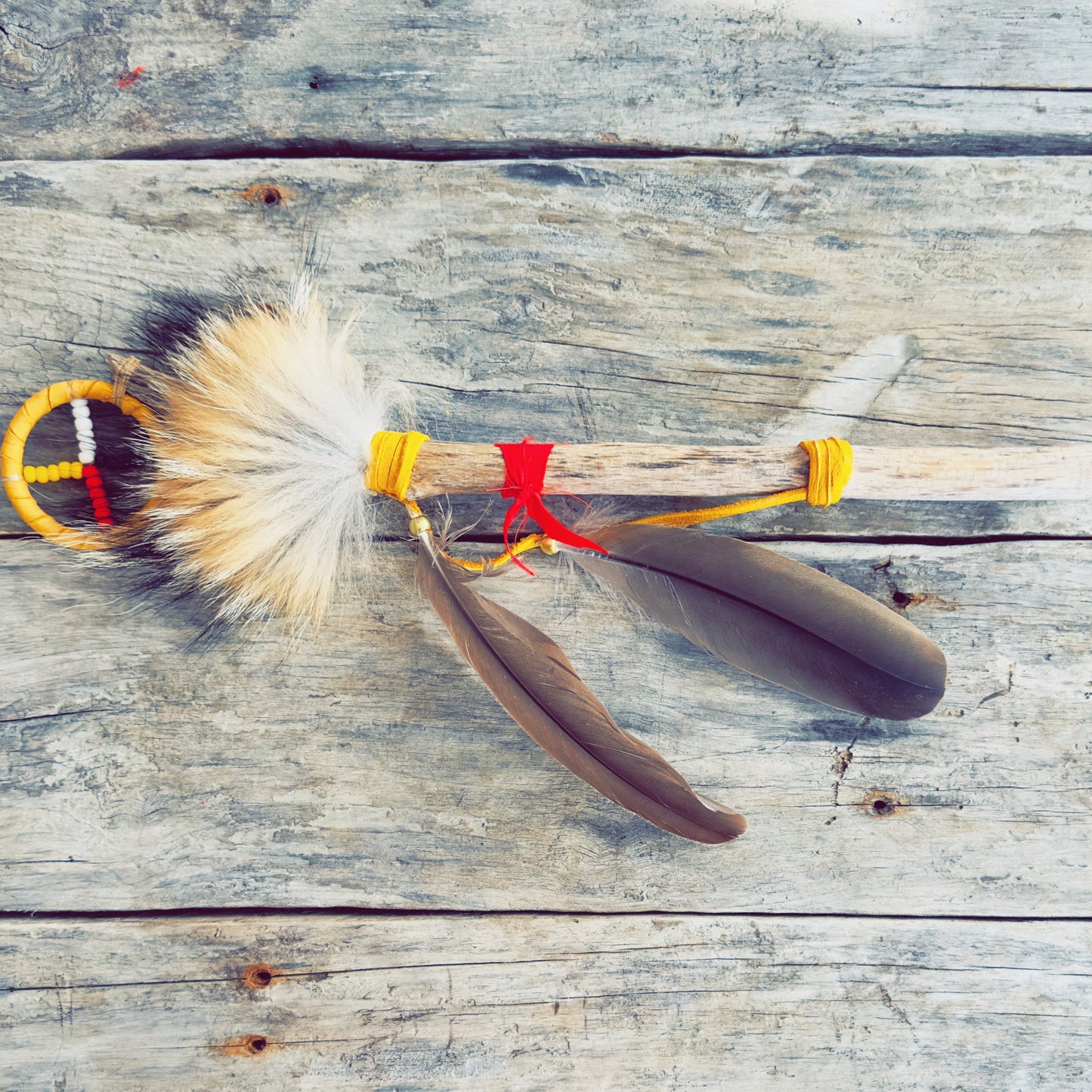 Indigenous talking sticks – coyote model