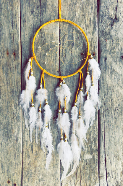 Capteur de rêve 8 pouces blanc