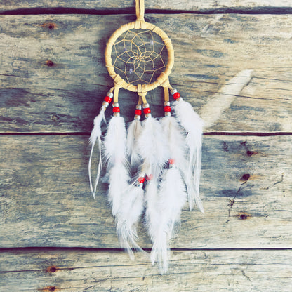 Natural style Indigenous dreamcatcher with feathers and leather