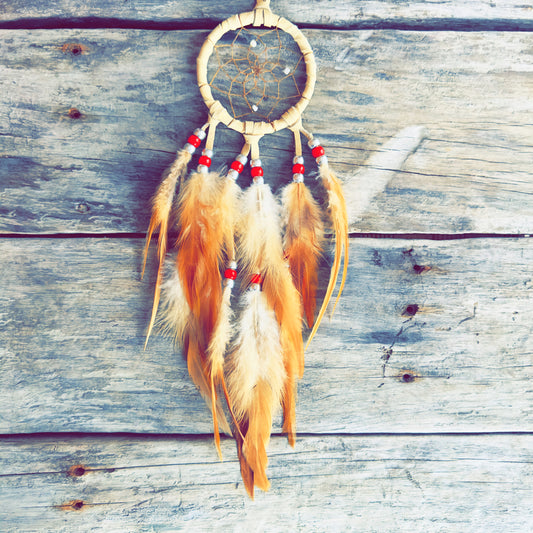 Handmade Indigenous dreamcatcher created using traditional techniques