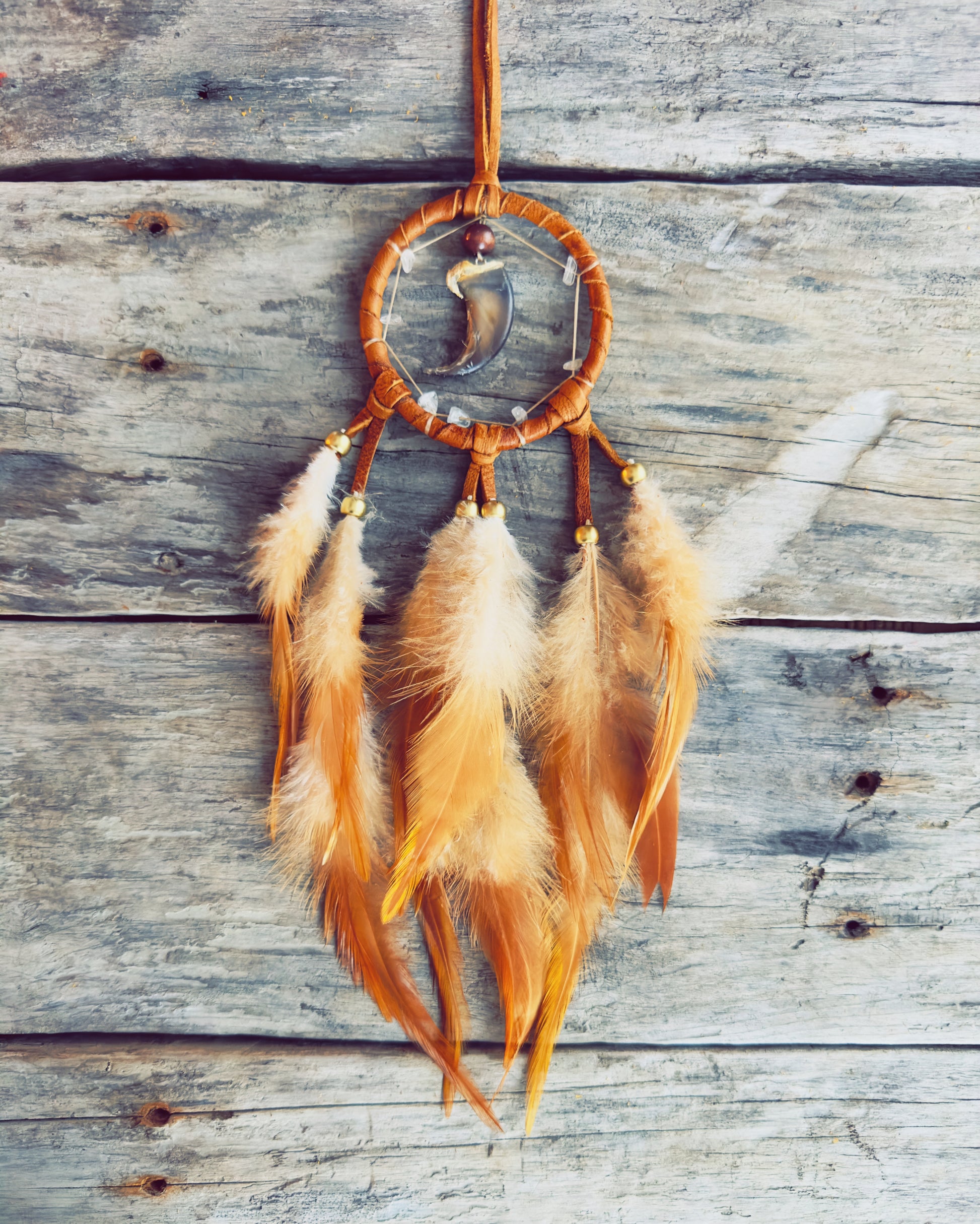 Dreamcatcher with genuine bear claw, handcrafted Indigenous-style orange feathers
