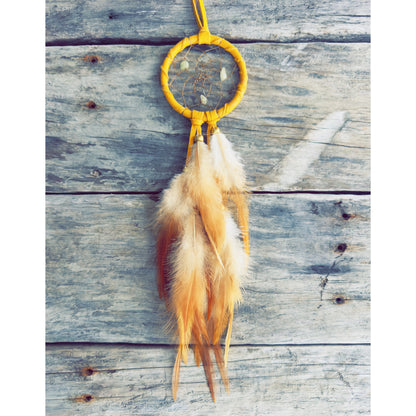 Totem energy dreamcatcher inspired by Native spirituality, linking the dream world to animal spirit guides.