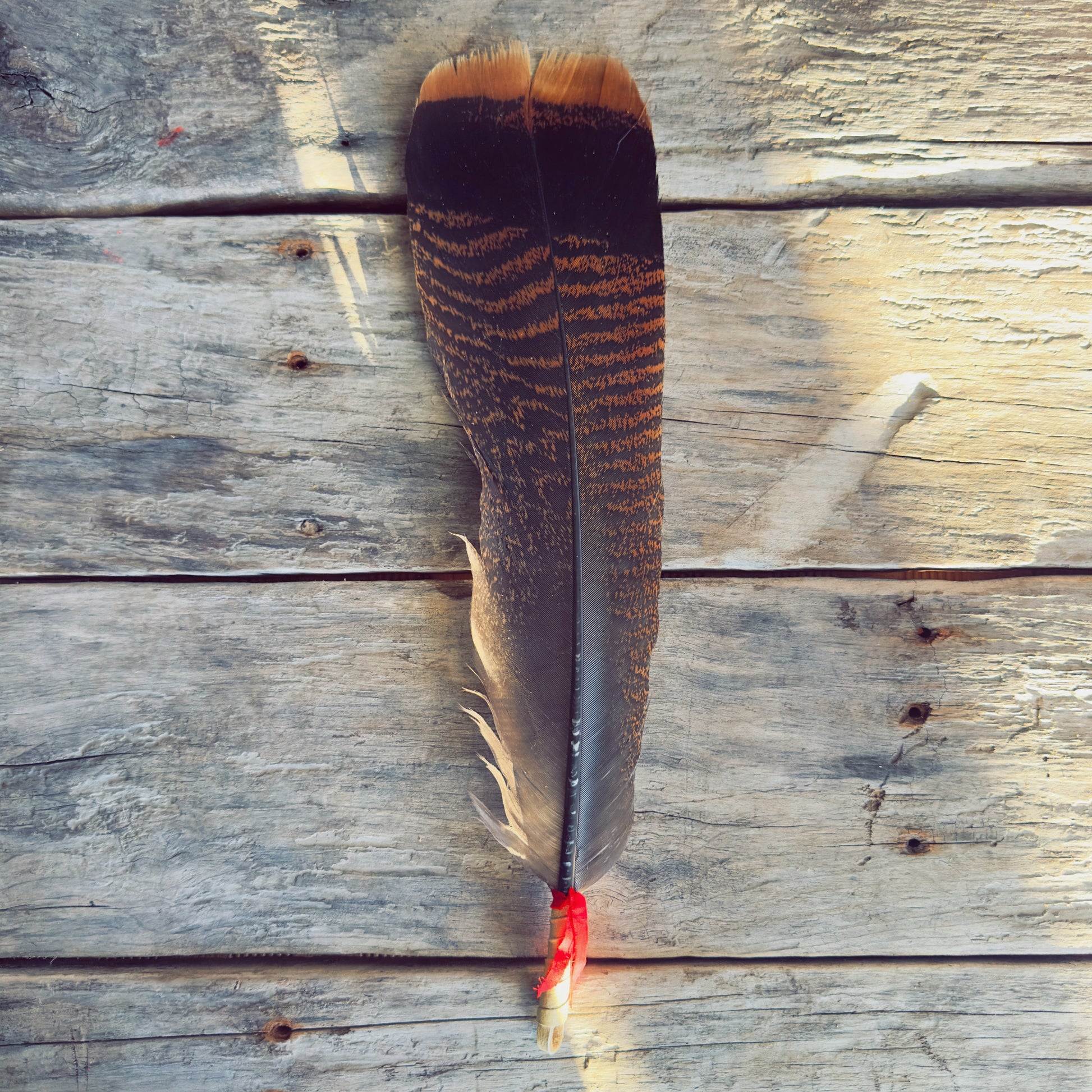 Indigenous smudge fan used for cleansing and ceremonial rituals