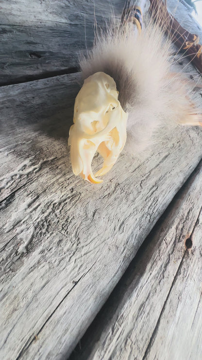 Totem Talking Stick – The Spirit of the Muskrat, an exceptional work