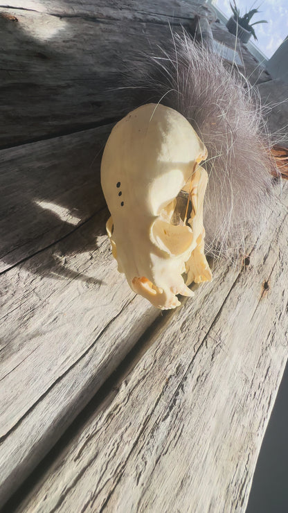 Ceremonial Staff – The Otter's Cry